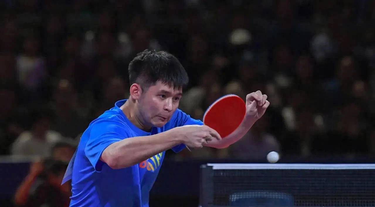 他们表现出 他们表现出